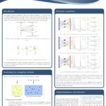 Graphic showing the poster of ESR10 at the Keystone Symposia